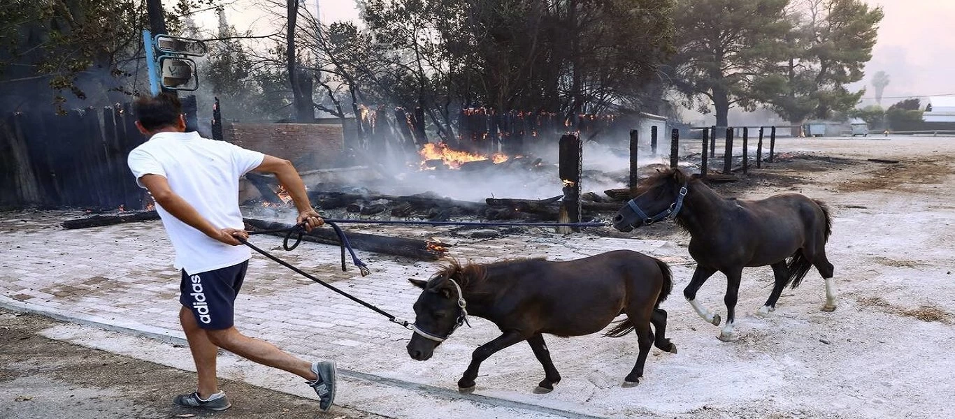 Δήμος Γαλατσίου: Παραχωρεί χώρο για φιλοξενία και φροντίδα σε ζώα πυρόπληκτων περιοχών